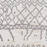 Surya Andorra ARD-2303 2' x 2'11" Rug
