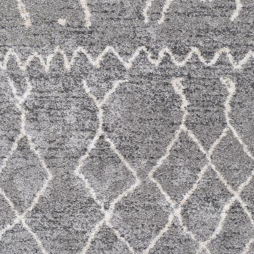 Surya Andorra ARD-2304 5'3" x 7'3" Rug