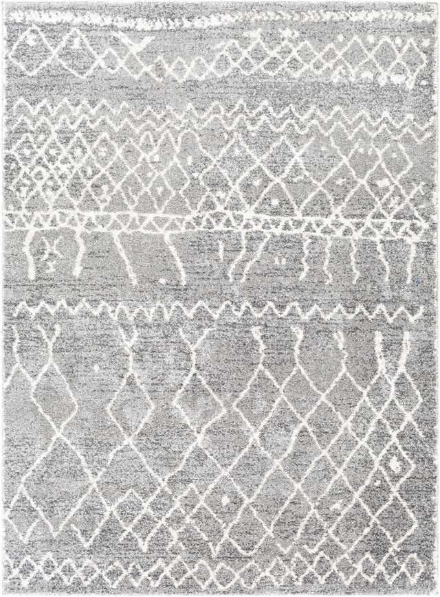 Surya Andorra ARD-2304 7'10" x 10' Rug