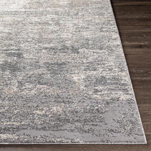 Surya Andorra ARD-2306 Beige Charcoal 7'10" x 10' Rug