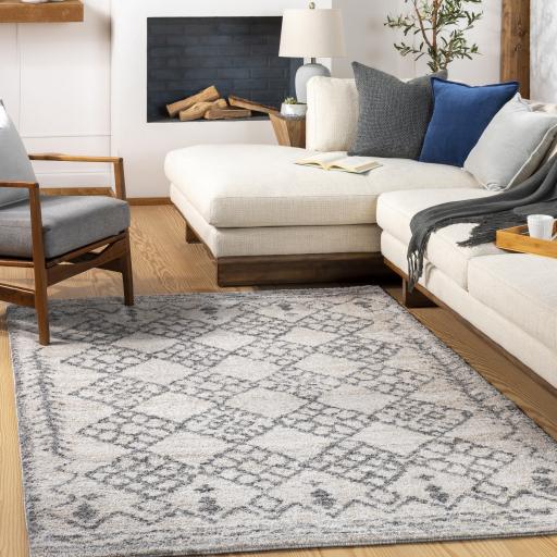 Surya Andorra ARD-2307 2' x 2'11" Rug