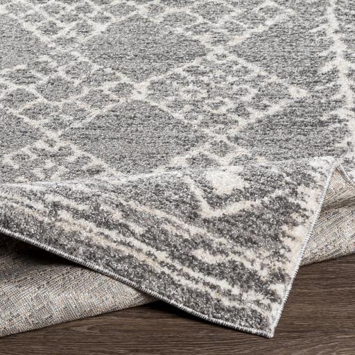 Surya Andorra ARD-2308 5'3" x 7'3" Rug