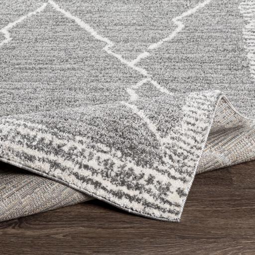 Surya Andorra ARD-2309 2' x 2'11" Rug