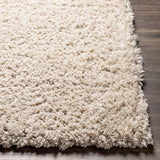 Surya Angora ANG-2301 Oatmeal 2'3" x 3'9" Rug