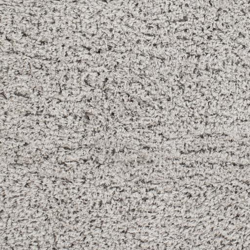 Surya Angora ANG-2302 9'2" x 12' Rug