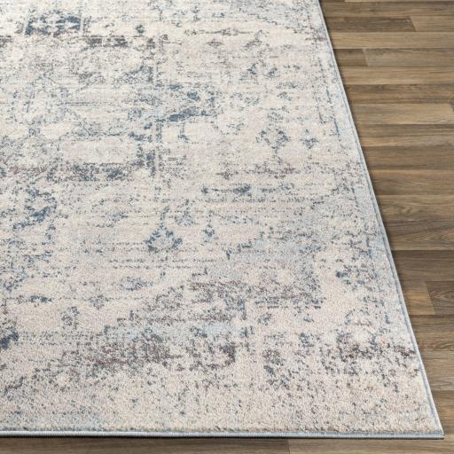 Surya Ankara AKR-2310 2'7" x 7'3" Rug