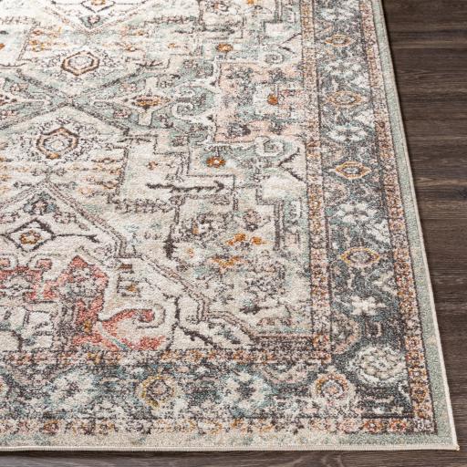 Surya Ankara AKR-2326 Brick Red Camel 5'3" x 7' Rug