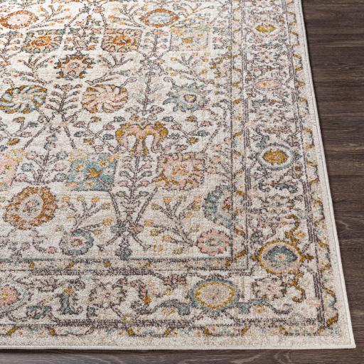 Surya Ankara AKR-2332 2'7" x 10' Rug