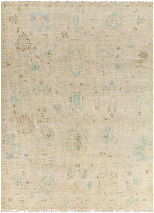 Surya Antalya AAT-2308 10' x 14' Rug