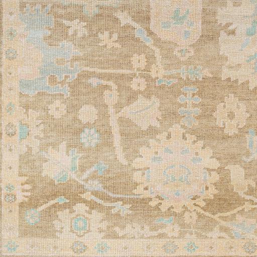 Surya Antalya AAT-2309 Blue Dark Brown 9' x 12' Rug