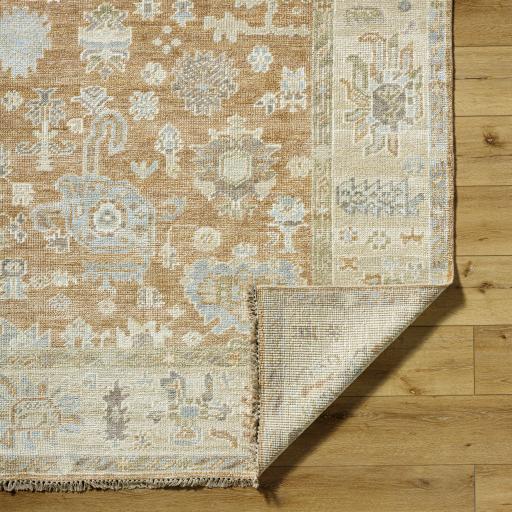 Surya Antalya AAT-2313 Brown Light Olive 9' x 12' Rug