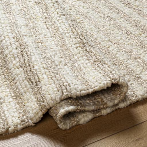 Surya Anya AYY-2301 2' x 3' Rug