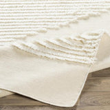 Surya Apache APA-2301 2' x 3' Rug