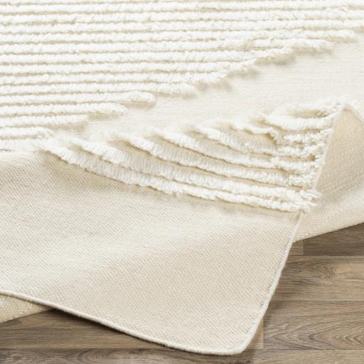 Surya Apache APA-2301 3' x 5' Rug