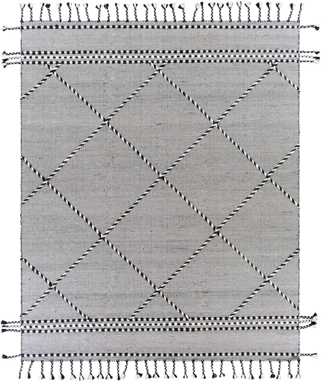 Surya Apache APA-2306 2'6" x 4' Rug