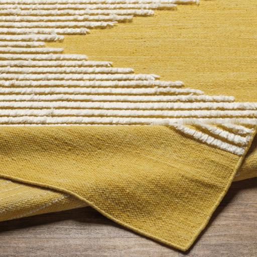 Surya Apache APA-2312 6' x 9' Rug
