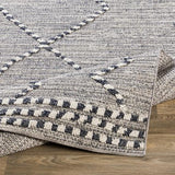 Surya Ariana RIA-2300 2' x 3' Rug
