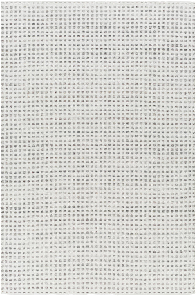 Surya Ariel AIL-2300 12' x 15' Rug