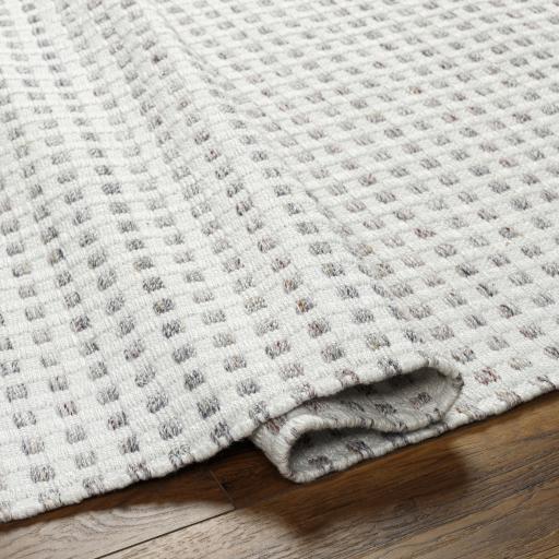 Surya Ariel AIL-2300 2' x 3' Rug