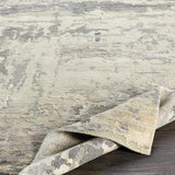 Surya Arte RTE-2303 2' x 3' Rug