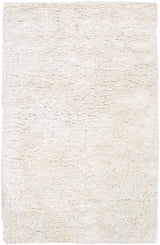Surya Ashton ASH-1300 3'6" x 5'6" Rug