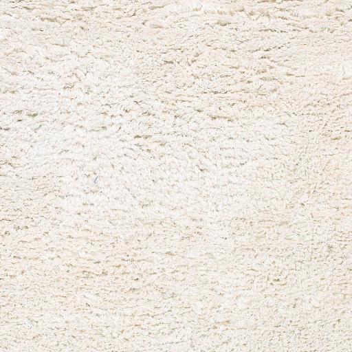 Surya Ashton ASH-1300 3'6" x 5'6" Rug