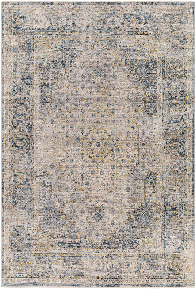 Surya Aspendos APS-2300 12' x 15' Rug