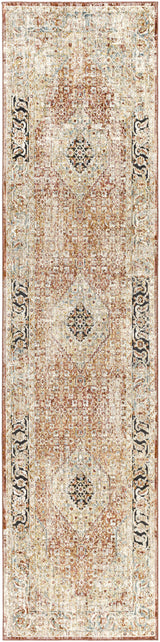 Surya Aspendos APS-2302 9' x 12'2" Rug