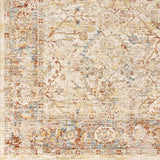 Surya Aspendos APS-2317 2'7" x 10' Rug