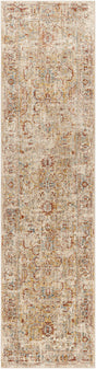 Surya Aspendos APS-2318 2'7" x 10' Rug