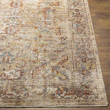 Surya Aspendos APS-2318 2'7" x 10' Rug