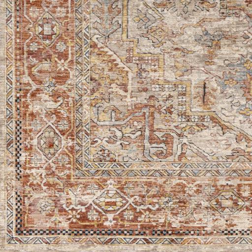 Surya Aspendos APS-2320 Black Brick Red 2'7" x 3'11" Rug