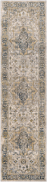 Surya Aspendos APS-2321 2'7" x 10' Rug