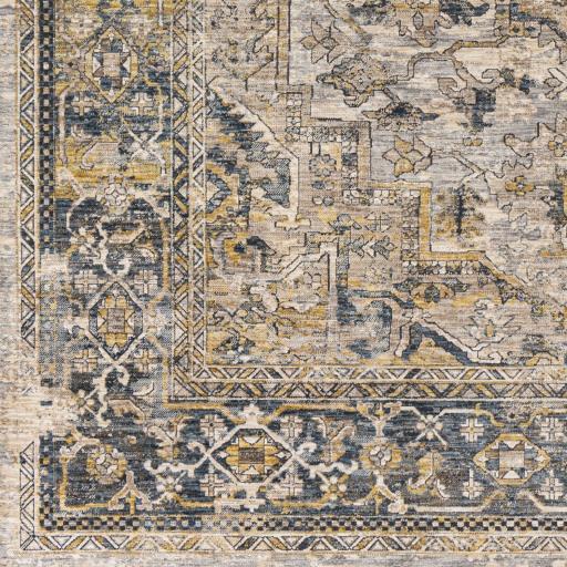Surya Aspendos APS-2321 2'7" x 10' Rug