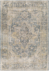 Surya Aspendos APS-2323 12' x 15' Rug