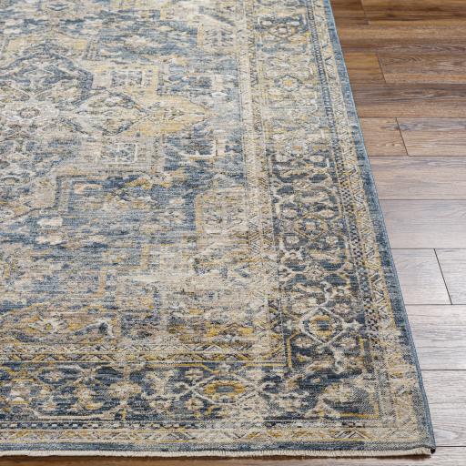 Surya Aspendos APS-2323 Black Charcoal 12' x 15' Rug