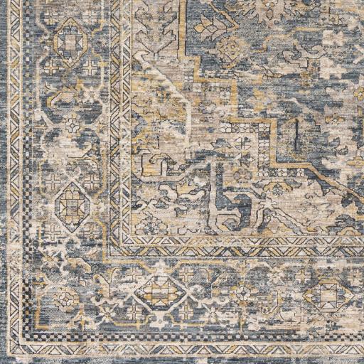 Surya Aspendos APS-2323 12' x 15' Rug