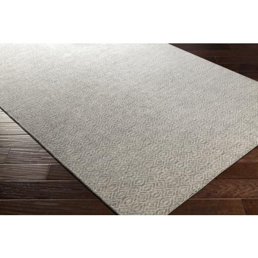 Surya Astara ASA-1004 Light Sage Medium Gray 2' x 3' Rug