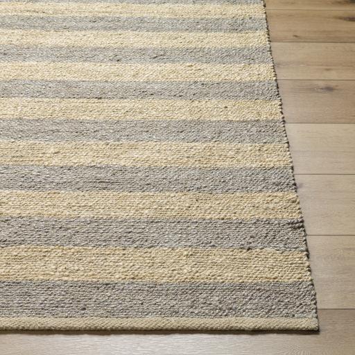 Surya Atina ATA-2301 Taupe Wheat 9' x 12' Rug