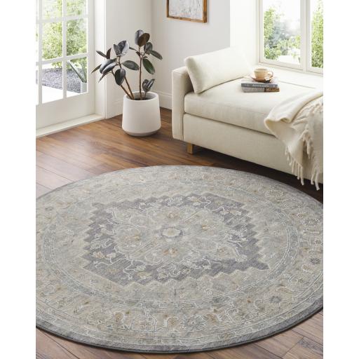 Surya Avant Garde AVT-2300 12' x 15' Rug