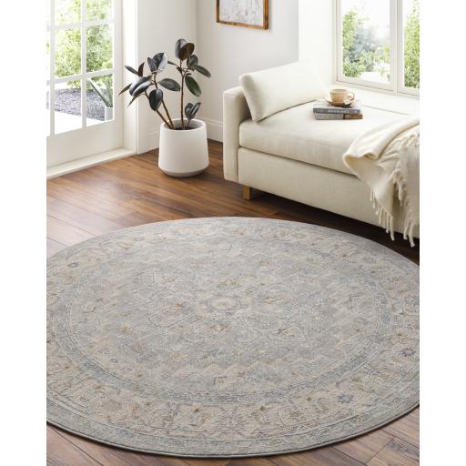 Surya Avant Garde AVT-2301 6'7" Round Rug