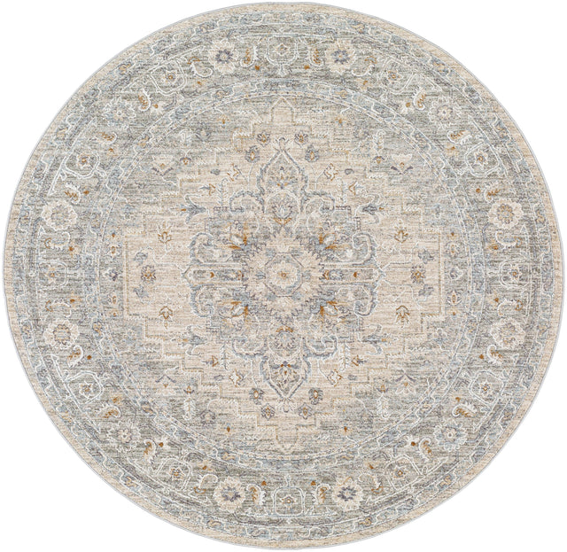 Surya Avant Garde AVT-2302 2'7" x 3'11" Rug