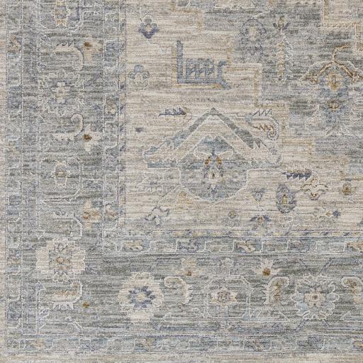 Surya Avant Garde AVT-2302 2'7" x 7'3" Rug