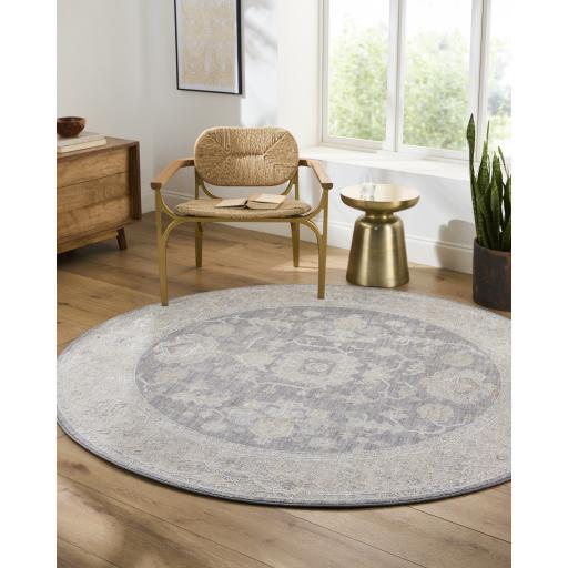 Surya Avant Garde AVT-2303 6'7" x 9'6" Rug