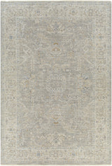 Surya Avant Garde AVT-2304 2'7" x 4' Rug