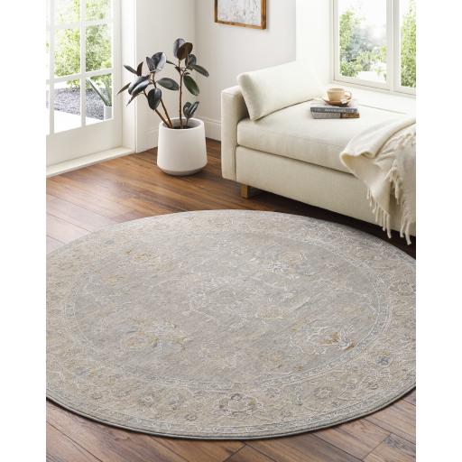 Surya Avant Garde AVT-2304 5'3" Round Rug