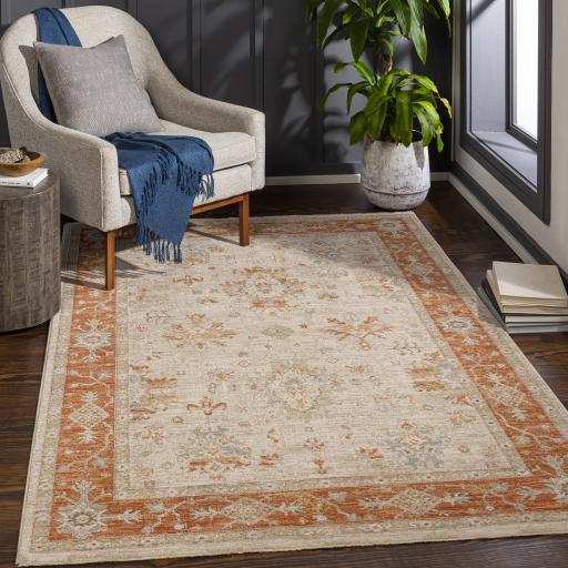 Surya Avant Garde AVT-2312 2'7" x 3'11" Rug