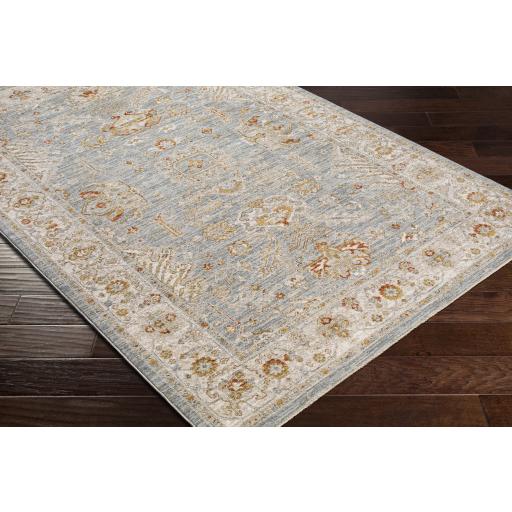 Surya Avant Garde AVT-2318 Brick Red Charcoal 2'7" x 3'11" Rug