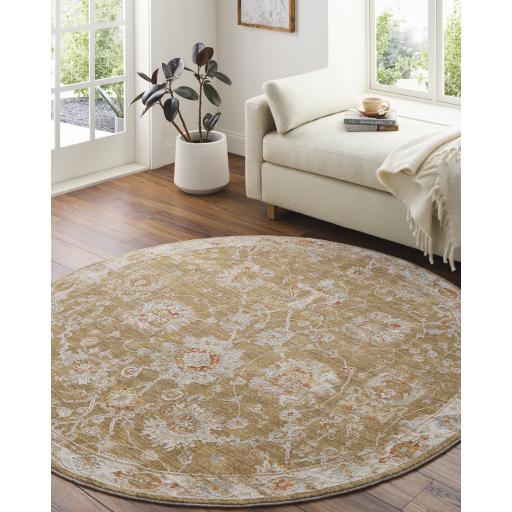 Surya Avant Garde AVT-2320 2'7" x 3'11" Rug