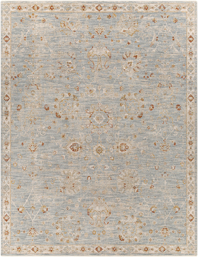Surya Avant Garde AVT-2322 12' x 15' Rug